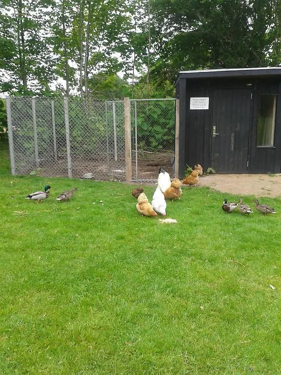 Billund Farm Holiday 0*,  Dinamarca